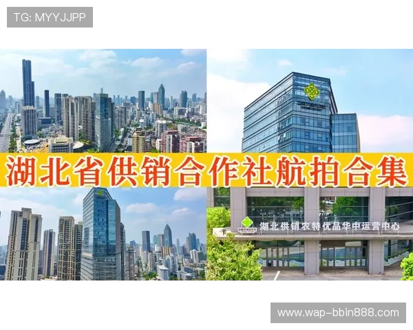 bbin官方合作协议签订流程详解，保障合作权益与合作顺利进行